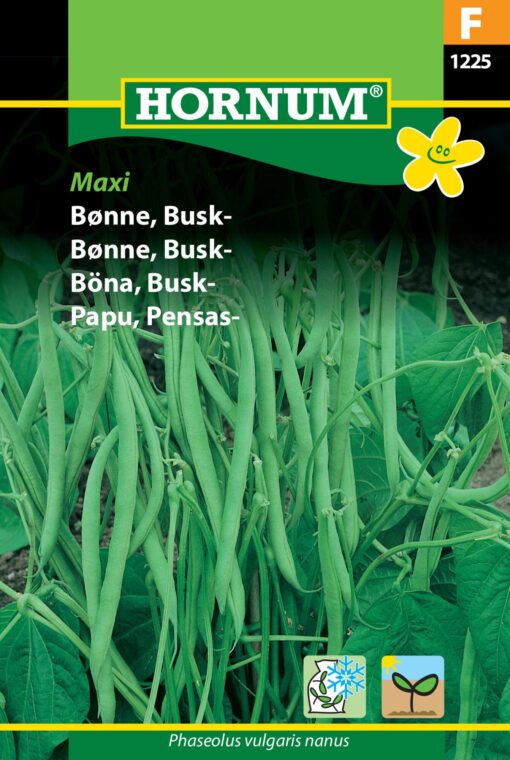 Buskbønne Maxi – Grøntsagsfrø – Nem at høste