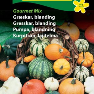 Græskarfrø “Gourmet blanding” af udvalgte sorter – Spiselige og smukke – Grøntsagsfrø
