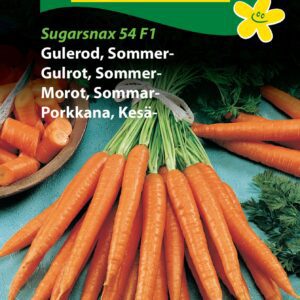 Gulerod Sommer “Sugarsnax” – Grøntsagsfrø – Gulerodsfrø Tidlig Sød sommergulerod