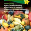 Pyntegræskar blanding – “Thanksgiving mix” – Blomsterfrø