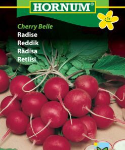 Radiser – “Cherry Belle” Rund, rød radise med mild smag – Radise frø – Grøntsagsfrø