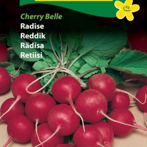 Radiser – “Cherry Belle” Rund, rød radise med mild smag – Radise frø – Grøntsagsfrø