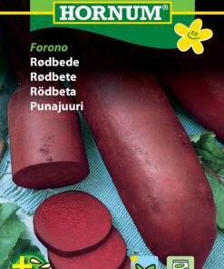 Rødbedefrø i Maxi pack – Aflang med stort udbytte – Grøntsagsfrø