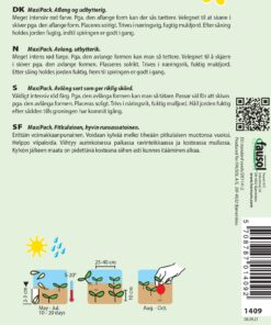 Rødbedefrø i Maxi pack – Aflang med stort udbytte – Grøntsagsfrø