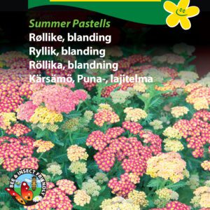 Røllike blanding – Flerårig “Summer Pastells” – Blomsterfrø