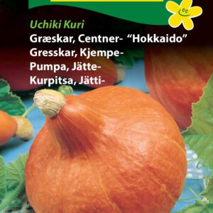 Hokkaido Græskarfrø – Det populære og velsmagende græskar – Grøntsagsfrø