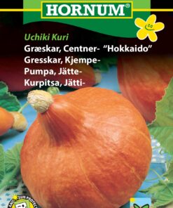 Hokkaido Græskarfrø – Det populære og velsmagende græskar – Grøntsagsfrø