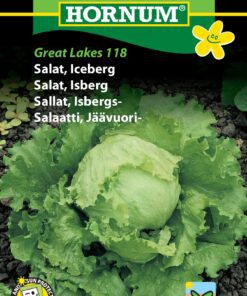 Iceberg Salatfrø Iceberg er den klassiske sprøde og friske salat. Køb kvalitetsfrø fra Hornum på www.nemhjem.dk Billige frø i top kvalitet