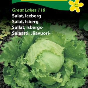 Salatfrø “Iceberg” – Grøntsagsfrø – Fast hoved og god smag
