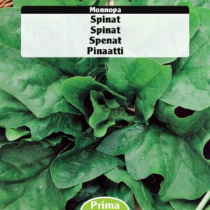 Spinatfrø Moonopa – Spinat Udbytterig, ernæringsrig – Grøntsagsfrø