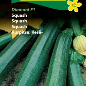 Squash – Dejlig og nem grøntsag – Grøntsagsfrø – Diamant F1