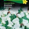 Ærteblomst Hvid “Mammut White” – Blomsterfrø