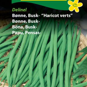 Buskbønne – Haricot Verts – Hornum Grøntsagsfrø