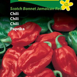 Chilifrø – “Scotch Bonnet Jamaican Red” Meget stærk chili – Grøntsagsfrø