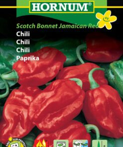Chilifrø – “Scotch Bonnet Jamaican Red” Meget stærk chili – Grøntsagsfrø