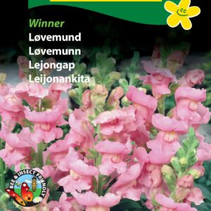 Løvemund Winner – Blomsterfrø