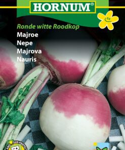 Majroefrø – Runde majroer med rødlilla top – Grøntsagsfrø