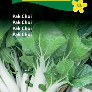 Pak Choi – Knasende sprøde blade – Grøntsagsfrø