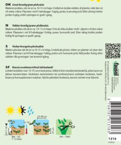 Salatfrø Pluksalat “Amerikanischer brauner” Frisk og farverig pluksalat – Grøntsagsfrø