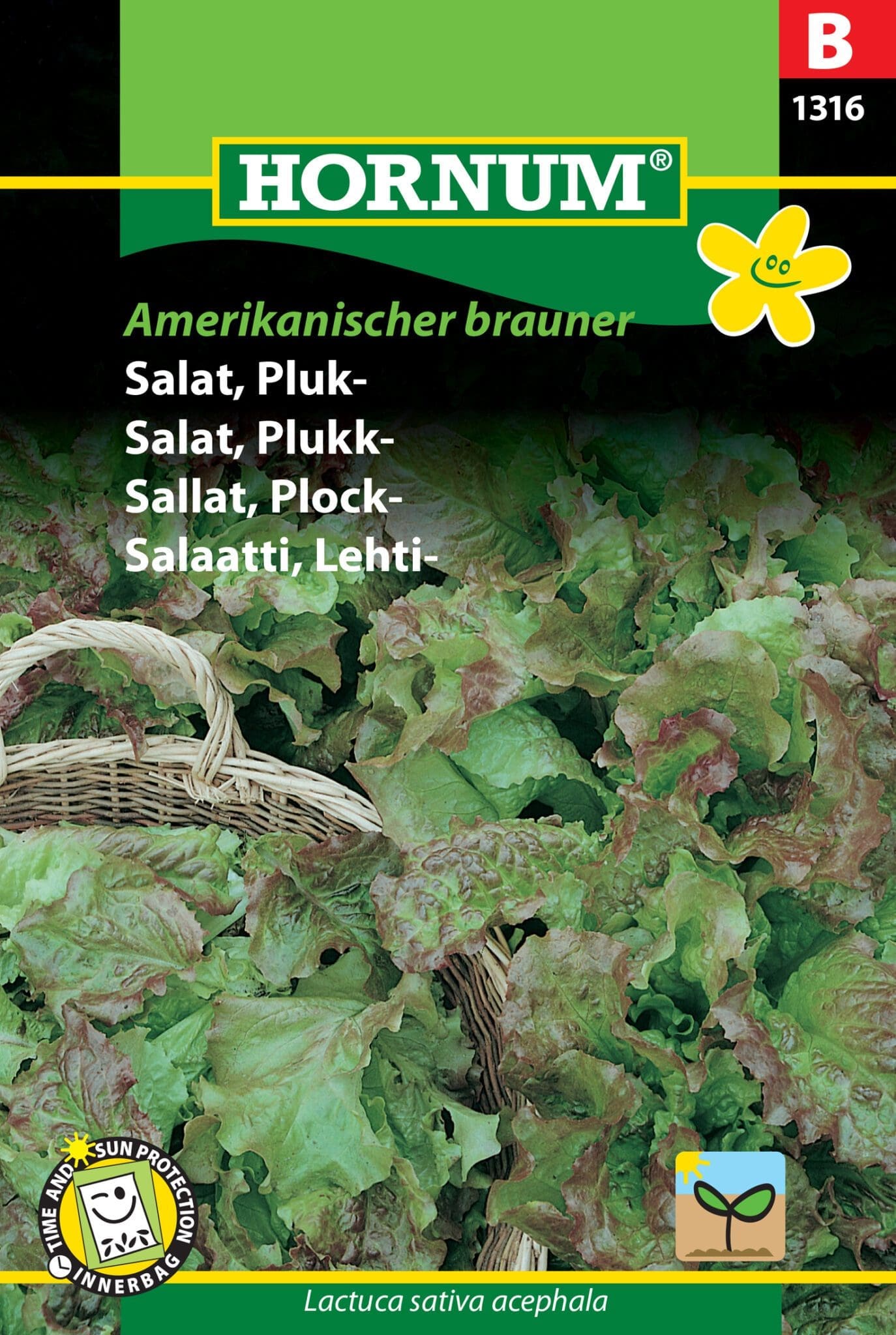 Amerikanischer Brauner Pflücksalat Samen – Für Ca. 500 Pflanzen | Aussaat Ab April, Sonnig Bis Halbschattig