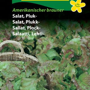 Salatfrø Pluksalat “Amerikanischer brauner” Frisk og farverig pluksalat – Grøntsagsfrø