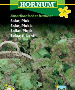 Salatfrø Pluksalat “Amerikanischer brauner” Frisk og farverig pluksalat – Grøntsagsfrø