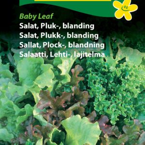 Salatfrø “Baby Leaf Pluksalat” salatblanding – Grøntsagsfrø