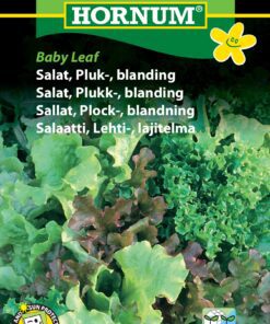 Salatfrø Pluksalat Baby Leaf salat. Grøntsagsfrø med høj spireprocent fra Hornum. Frø til lave priser på www.nemhjem.dk Stort udvalg