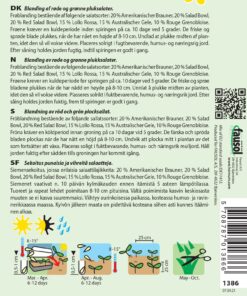 Salatfrø “Baby Leaf Pluksalat” salatblanding – Grøntsagsfrø