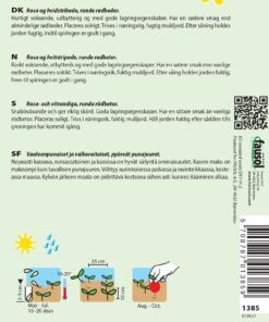 Rødbedefrø – Stribede rødbeder runde med stort udbytte – Grøntsagsfrø