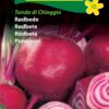 Rødbedefrø – Stribede rødbeder runde med stort udbytte – Grøntsagsfrø