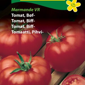 Tomatfrø Bøftomat – Middeltidlig store bøftomater – Grøntsagsfrø