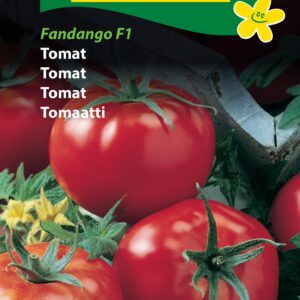 Tomatfrø – Fandango – Tidlig og udbytterig. Kan dyrkes i drivhus eller på friland – Grøntsagsfrø