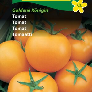 Tomatfrø Gule tomater – Middeltidlig – Grøntsagsfrø