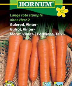 Gulerod “Vinter gulerod” – Grøntsagsfrø – Gulerodsfrø
