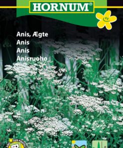 Anis frø – Ægte Anis med hvide skærmblomster – Krydderurtefrø