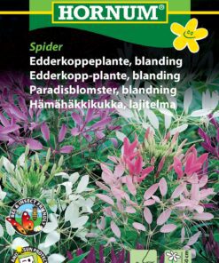 Edderkoppeplante blanding – Velduftende og smukke blomster – Blomsterfrø