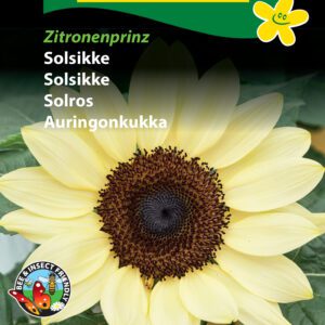 Lysegul Solsikke Zitronenprinz solsikkefrø. Mellemhøj solsikke med flotte lysegule kronblade, Køb solsikkefrø på NemHjem. Kvalitet til lav pris