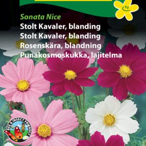 Stolt Kavaler blanding i hvide og rosa nuancer – Blomsterfrø