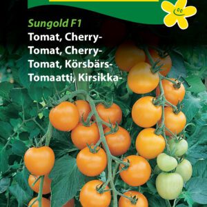 Tomatfrø – Orange Cherrytomat “Sungold”. Kan dyrkes i drivhus eller på friland – Grøntsagsfrø