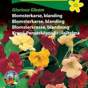 Blomsterkarse blanding “Glorious Gleam” – Blomsterfrø