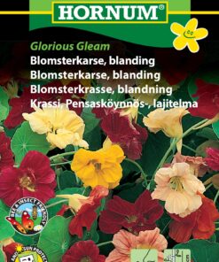 Blomsterkarse blanding “Glorious Gleam” – Blomsterfrø