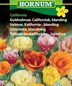 Guldvalmue “Californisk blanding” valmuefrø – Blomsterfrø