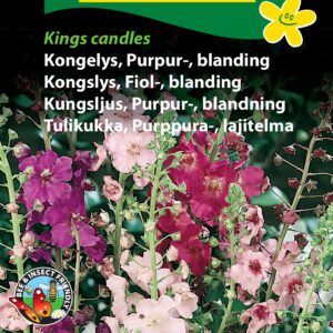 Kongelys purpur blanding – Nem og bivenlig – Blomsterfrø