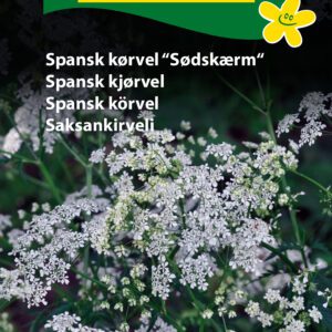 Sødeskærm – Anisduftende skærmplante med hvide blomster – Krydderurtefrø