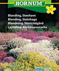 Stenhave blanding – Flerårig blomsterglæde – Blomsterfrø