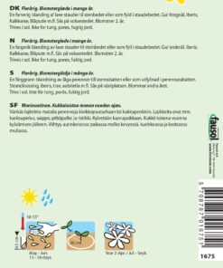 Stenhave blanding – Flerårig blomsterglæde – Blomsterfrø