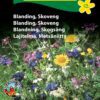 Skoveng blomsterblanding – 1 og flerårige blomster – Blomsterfrø