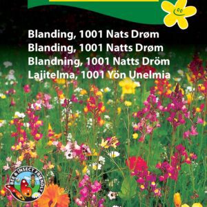 Blomsterfrø blanding 1001 nat drøm – Blanding af lave vilde blomster – Blomsterfrø