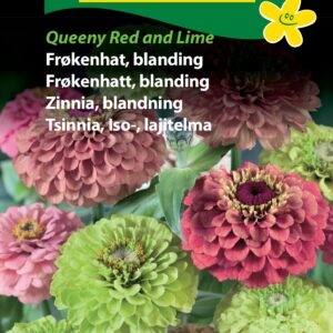Frøkenhat frøblanding – Queeny Red and Lime – Blomsterfrø